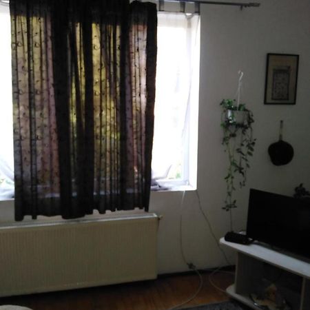 Sun Cluj Appartement Buitenkant foto