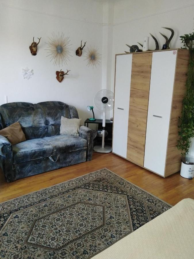Sun Cluj Appartement Buitenkant foto